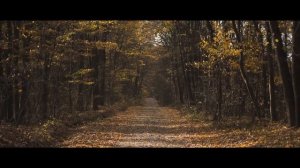 Jeremy Soule (Skyrim) — “The Streets of Whiterun” [Extended with Mild “Fall Ambience”] (1.5 Hrs.)