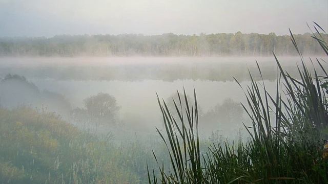 884.♫. ВИА Добры Молодцы - «Плывут туманы белые»,1969 смотреть онлайн