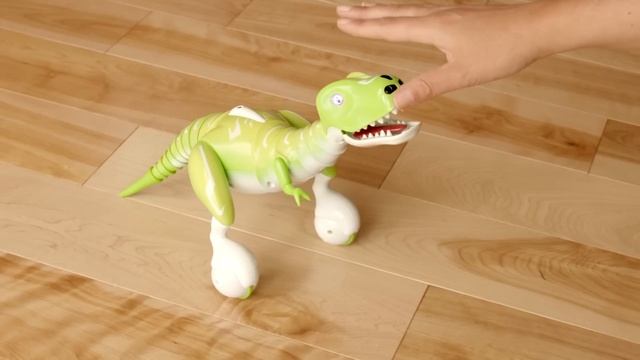 Zoomer | Getting Started with Your Zoomer Dino смотреть онлайн