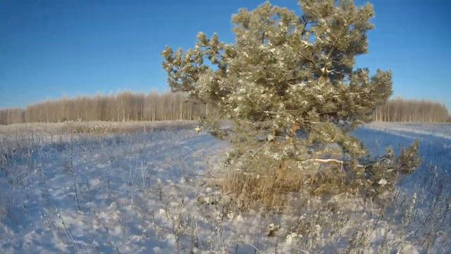 Зимняя Сказка смотреть онлайн