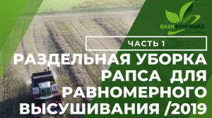 Раздельная уборка рапса 2019
#уборкарапса #рапс #раздельнаяуборка #башфунгцид