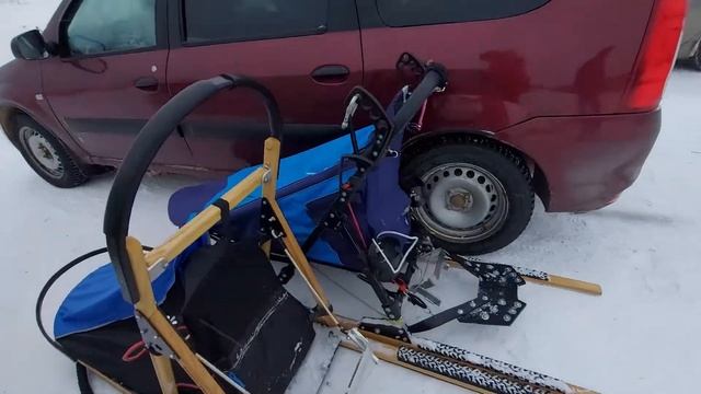 СОБАКИ ХАСКИ | ЛУНЕЖСКИЕ ГОРЫ 2021 | ЧУТЬ НЕ УГРОБИЛ СОБАКУ #husky #ездовойспорт #хаски #тренировки смотреть онлайн