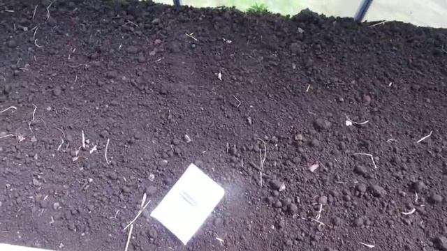 Наша дача. Подготовка грядки под огурцы в теплице и посев семян. смотреть онлайн