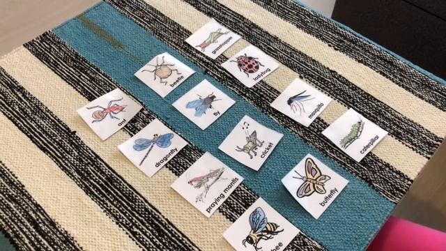 Как учить английские слова с ребёнком быстро, легко и интересно. Тема: «Насекомые» смотреть онлайн