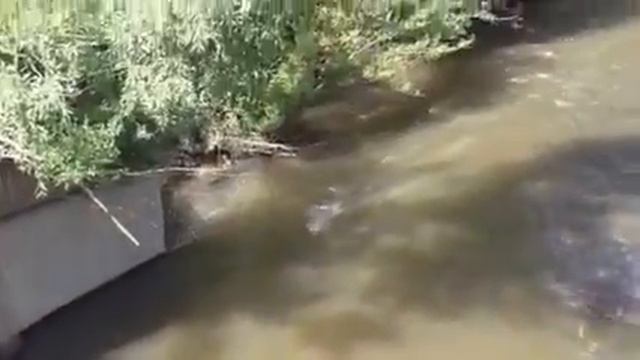 рыбалка на Беспуте на майского жука в Окских садах-3 смотреть онлайн