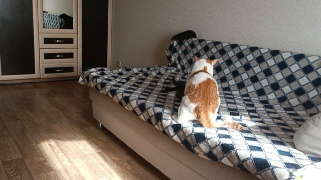 Кузя и девочка смотреть онлайн