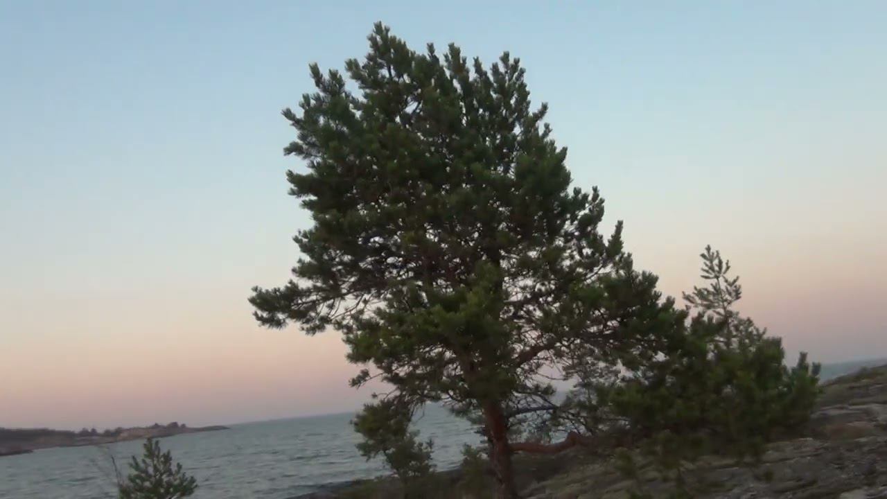 20-21.082022 ладожские шхеры смотреть онлайн