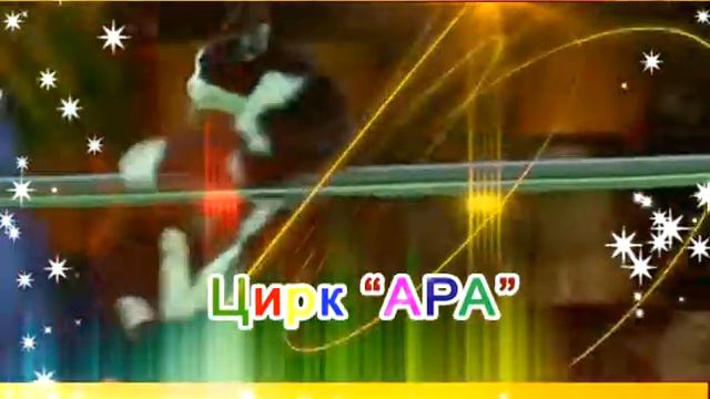 цирк АРА смотреть онлайн