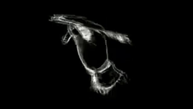 Хитрая сова!)))).flv смотреть онлайн