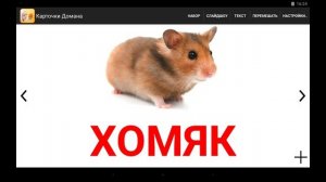 Карточки Домана.Развивающие игры для малышей