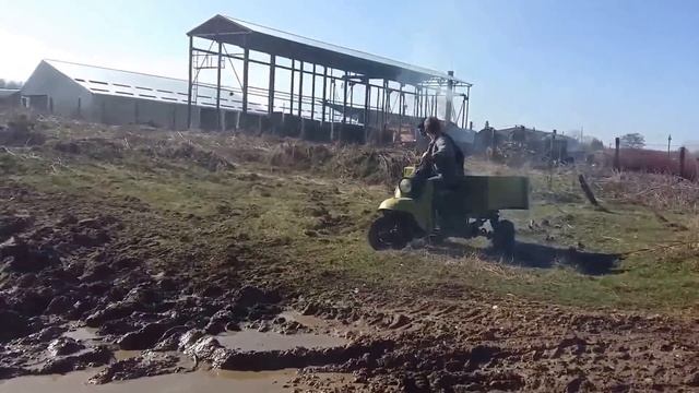 Большежогова на Муравье!) смотреть онлайн