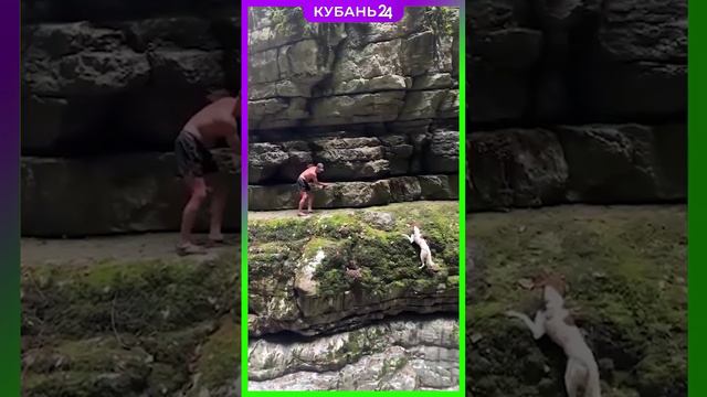 Собачья трагедия едва не случилась в Хашупсинском каньоне в Абхазии смотреть онлайн