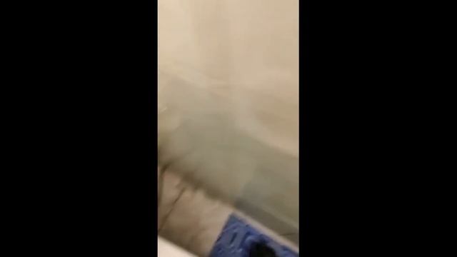 Автоматический кошачий туалет. Мытищи смотреть онлайн