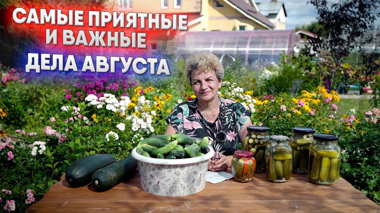 Самые приятные и важные дела августа