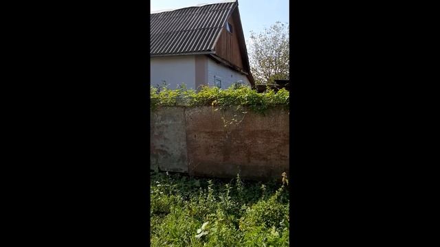 Апшеронск/ст.Тверская/ст.Кубанская/влог/хочу свой дом