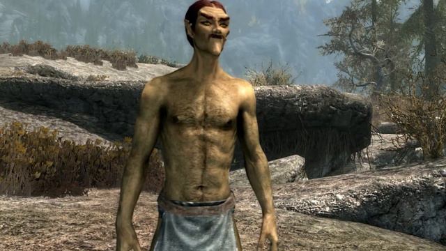 Skyrim's 𝐓𝐎𝐔𝐑𝐈𝐒𝐓 𝐂𝐇𝐀𝐋𝐋𝐄𝐍𝐆𝐄 Is Very Silly.