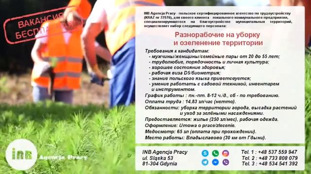Работа в Польше | Разнорабочие на уборку и озеленение территории | Владиславов смотреть онлайн