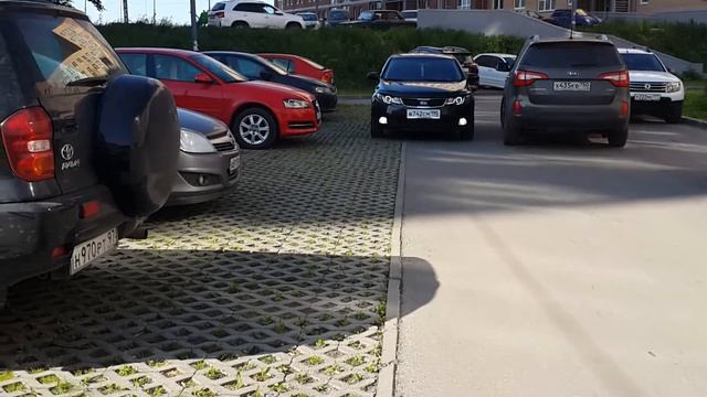 Копия видео "MTF Palladium" смотреть онлайн