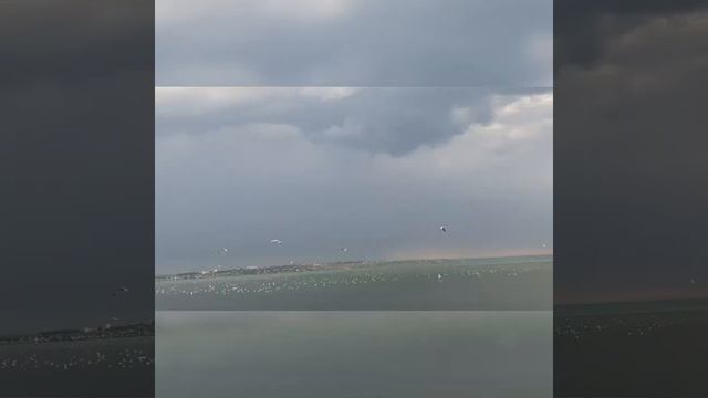 Южное (море) смотреть онлайн
