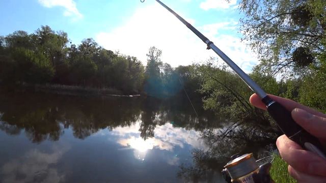РЕЗВЫЕ ОКУНИ и ЯДОВИТЫЕ ЗМЕИ! РЫБАЛКА НА КРАСИВОЙ РЕКЕ!