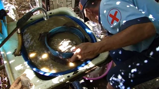 Мою речной песок в синем тазике смотреть онлайн