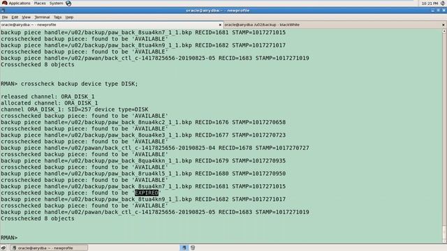 Oracle 12 2 DBA Classes 23 20190831 RMAN Introduction 2of2 смотреть онлайн