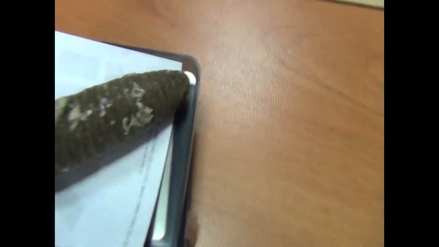 Кулинарные Эксперименты