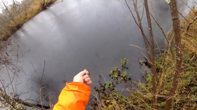 попытка поймать налима на нарезку из плотвы! смотреть онлайн