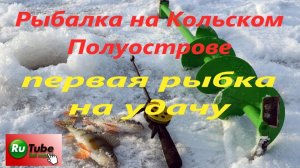 Рыбалка на Кольском Полуострове. Ловля сига и окуня на подблесок и балансир.