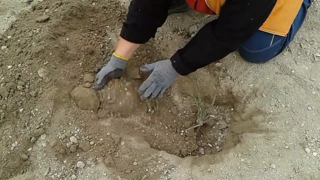 Стройка Мастеров