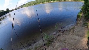 Вечерняя рыбалка на фидер на течении с берега