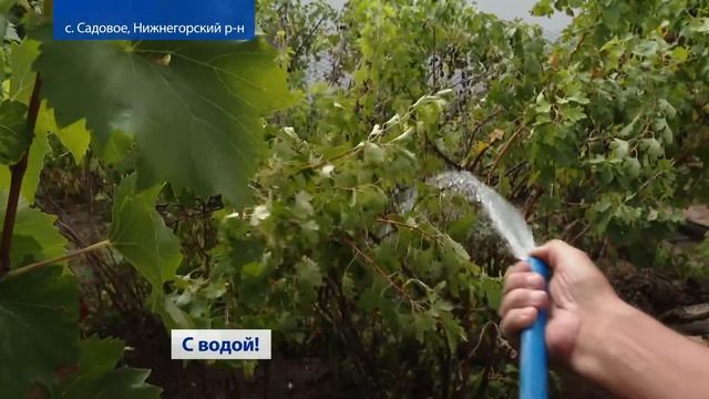 В селе Садовое запустили обновленный водовод (Крым) 27.08.2021 смотреть онлайн