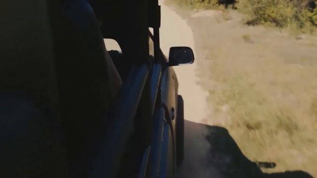 Löwin Fleht Mann Um Hilfe. Was Dann Geschah, Ist Unglaublich