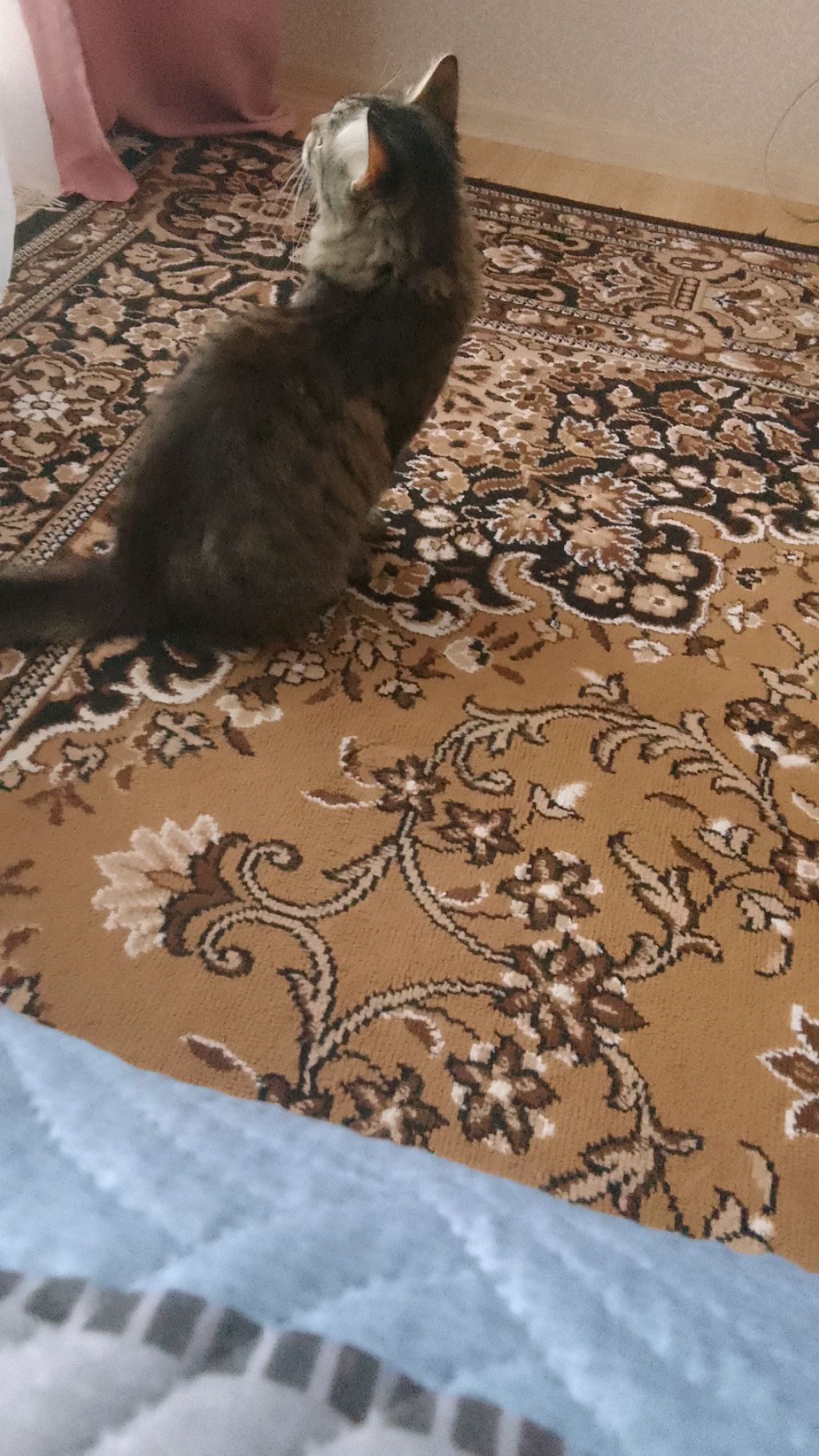 а за 30 просмотров роняем телефон смотреть онлайн