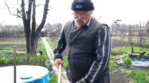 Как посадить яровой чеснок. Весенняя посадка чеснока