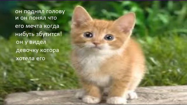 история маленького котенка ( картинки с надписями ) :3 смотреть онлайн