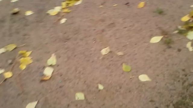 Заброшенная голубятня и площадка!!!???