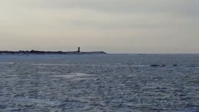 Сахалинцы по льду на внедорожнике съездили на материк, чтобы заправиться смотреть онлайн