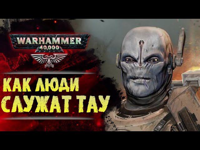 Как живется людям на службе у Тау? Как их используют Эфирные? История Warhammer 40000 смотреть онлайн