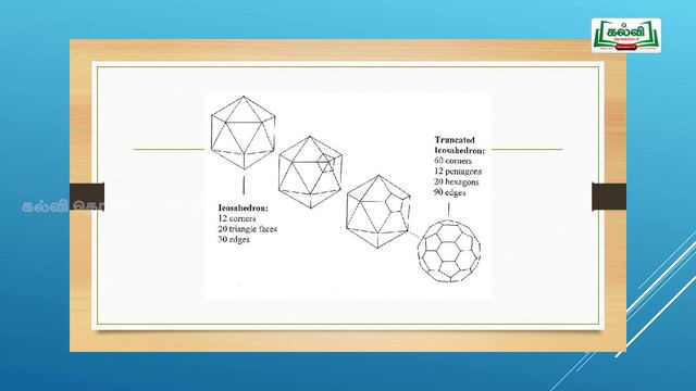 NEET | JEE | CHEMISTRY | P-BLOCK ELEMENTS | Kalvi TV смотреть онлайн