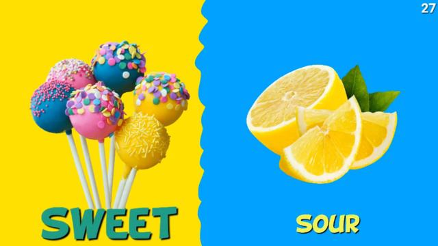 Opposites | 50+ Opposite Words