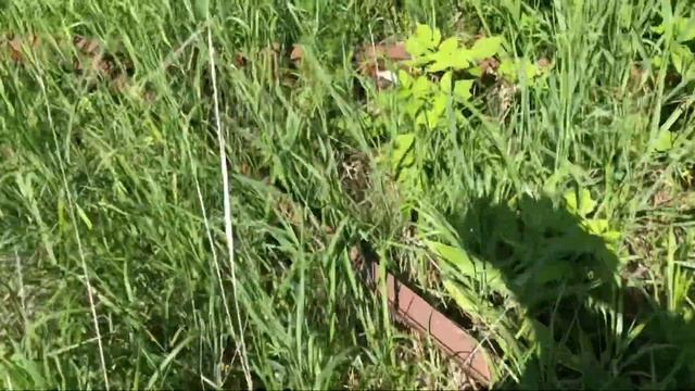 ОБНАРУЖИЛИ ТРАКТОРНУЮ МАСТЕРСКУЮ ПОСРЕДИ ПОЛЯ! ТОННЫ МЕТАЛЛА! Коп металлолома 2021 смотреть онлайн