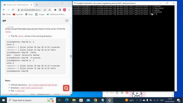 0x01 shell permission and advance task смотреть онлайн