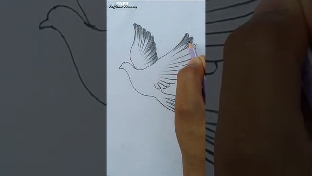 How To Draw A Fly Bird || Step By Step Fly Bird ||#birdshort #flybirddraw #shortbirdvideo смотреть онлайн