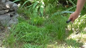 Ручная коса. Маленькая коса для травы. Складная коса