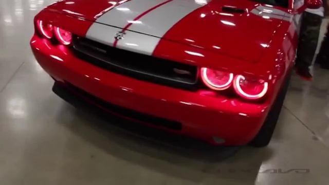 Выставка авто мускул кары смотреть онлайн