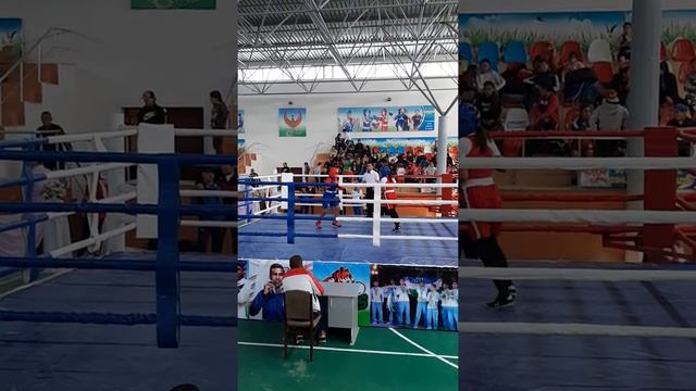 севара турнир в бухаре по боксу финал первое место 40 кг среди девочек смотреть онлайн