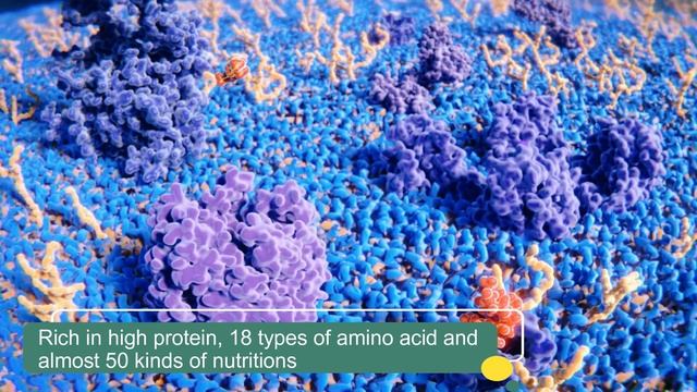 Unleashing the Power of Brewers Yeast Powder: Discover its Benefits and Uses смотреть онлайн