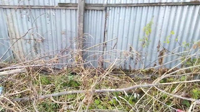 Анекдоты Вселенной : самый известный анекдот в мире смотреть онлайн