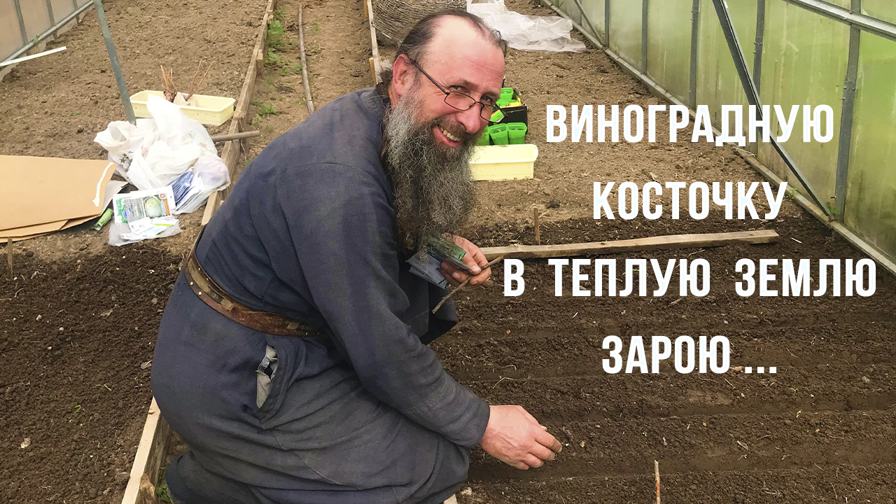 Виноградную косточку... смотреть онлайн
